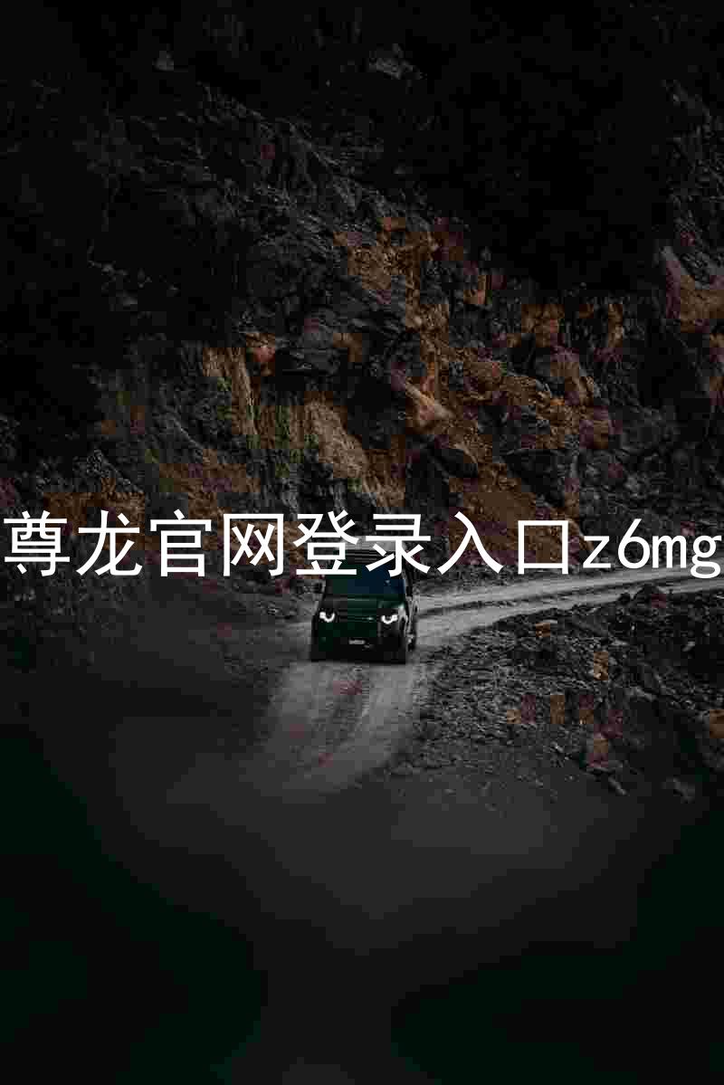 尊龙官网登录入口z6mg