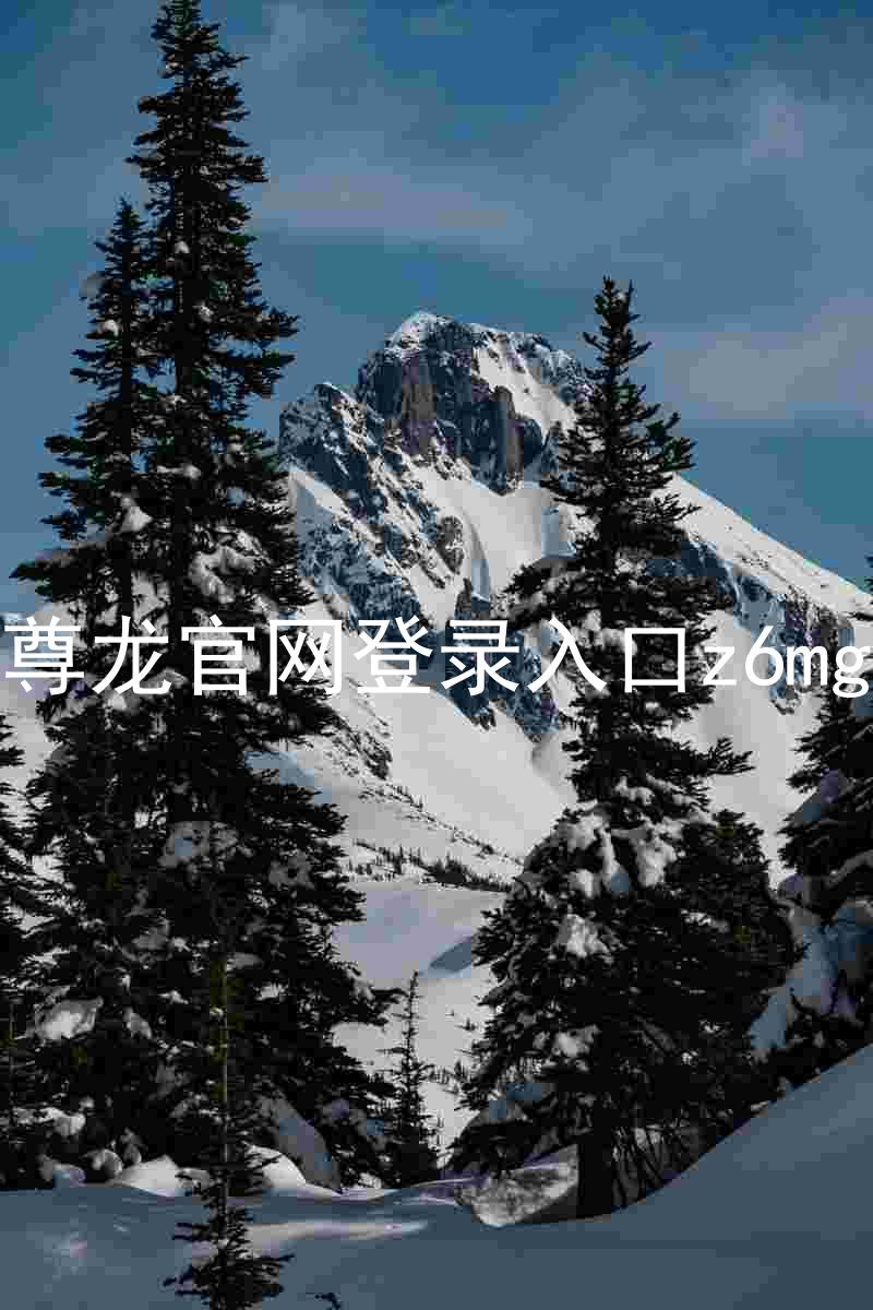 尊龙官网登录入口z6mg