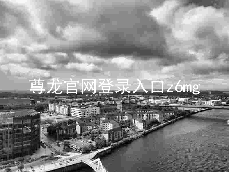 尊龙官网登录入口z6mg