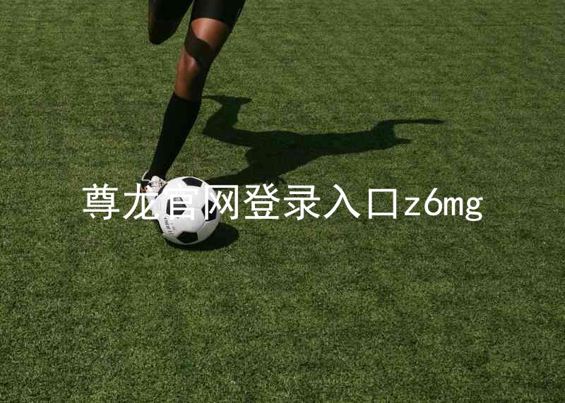 尊龙官网登录入口z6mg
