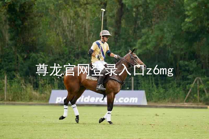 尊龙官网登录入口z6mg