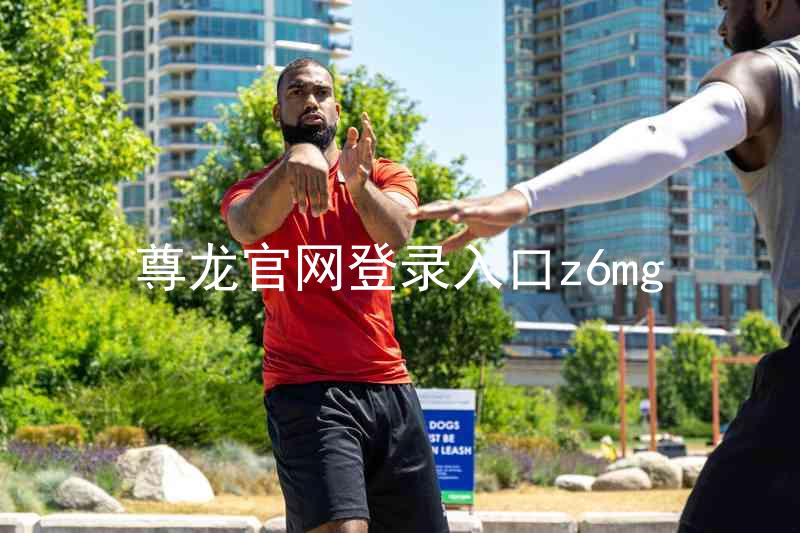 尊龙官网登录入口z6mg